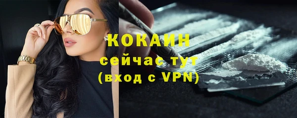 дмт Михайловск