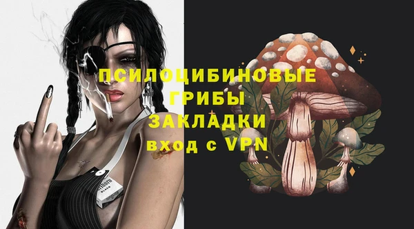 а пвп мука Сатка