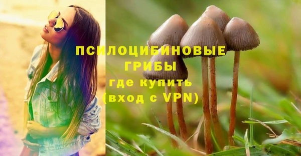 СК Надым