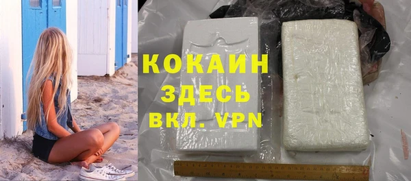 крисы Сосновый Бор