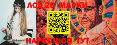 прущие крисы Аргун