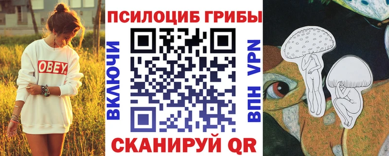 Псилоцибиновые грибы ЛСД  наркошоп  Нижний Новгород 