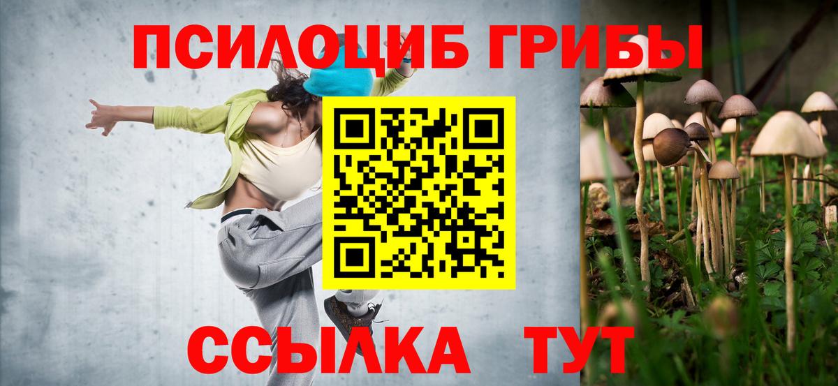 Галлюциногенные грибы Cubensis  Вход с VPN  где купить наркоту  Нижний Новгород 